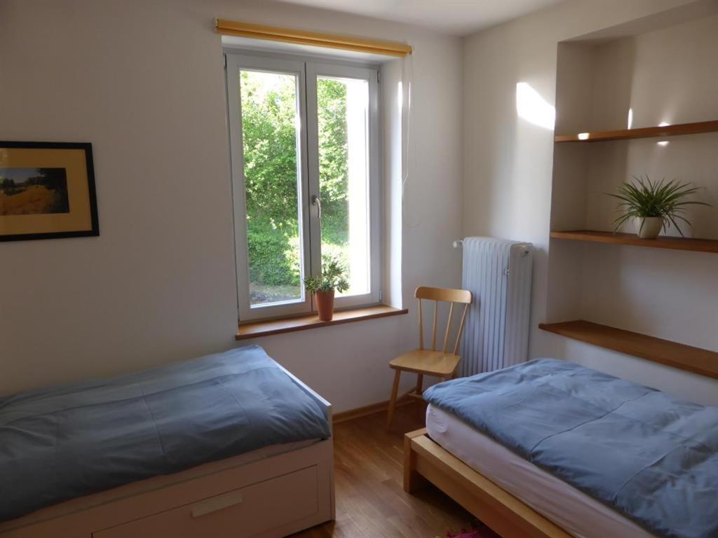 Irreler Muehle Ferienwohnungen Und Ferienhaeuser 외부 사진